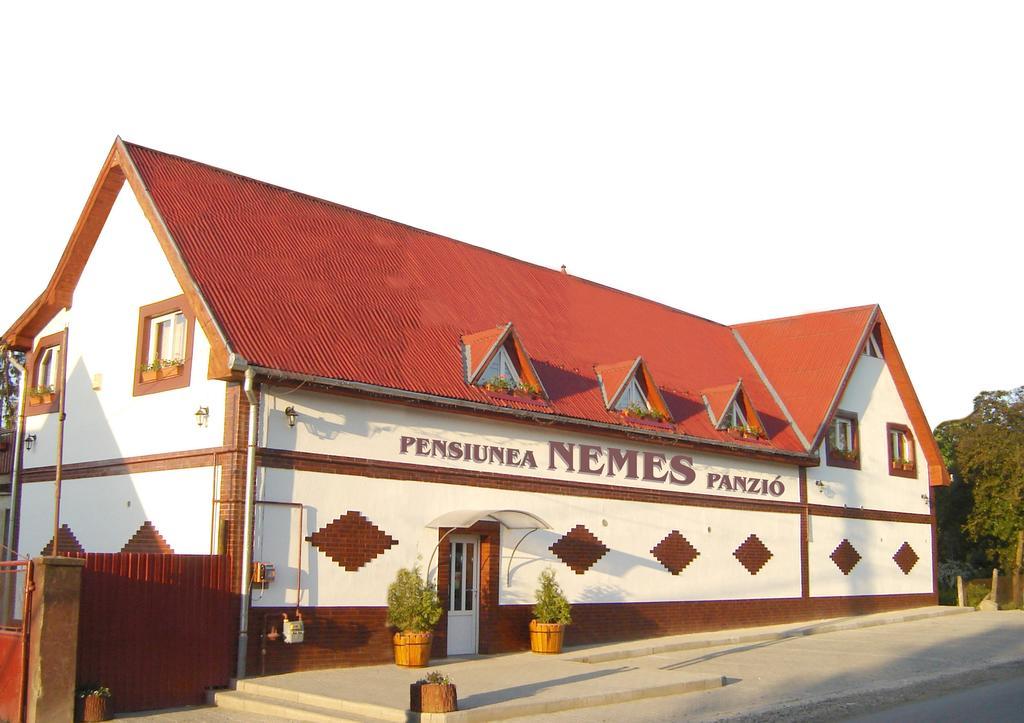 Pensiunea Nemes Panzio Acăţari Exteriör bild